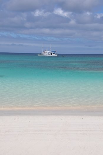 golondrina-Galapagos-cruise