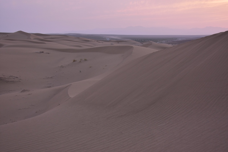 Solnedgang og ørken