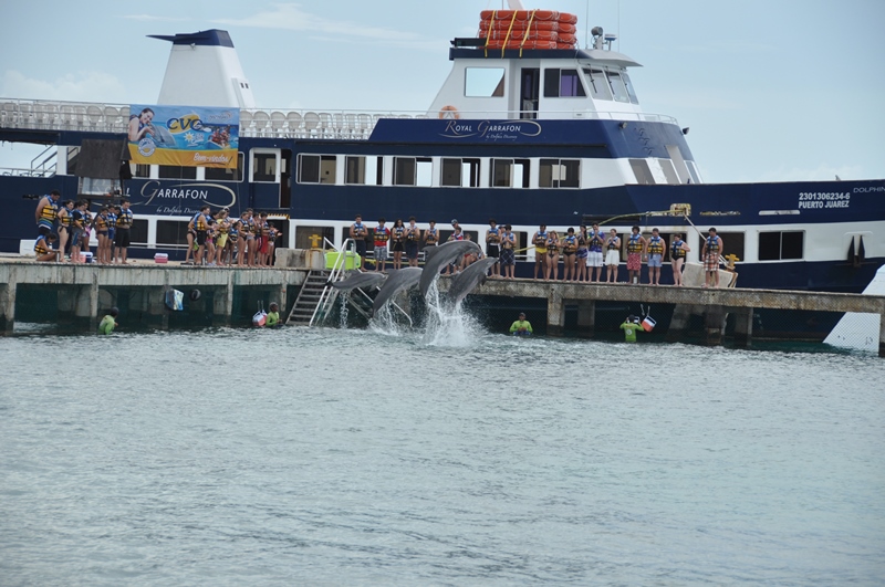 Delfiner, Isla Mujeres, Mexico