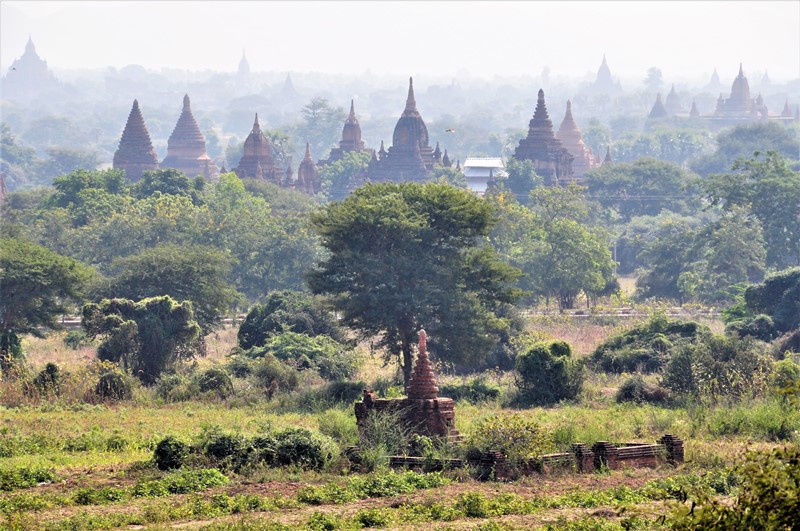 Masser af templer så langt øjet rækker, Bagan, Myanmar