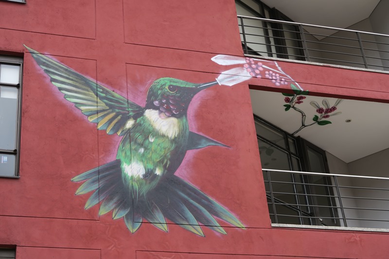 Colibri, Bogota, Colombia