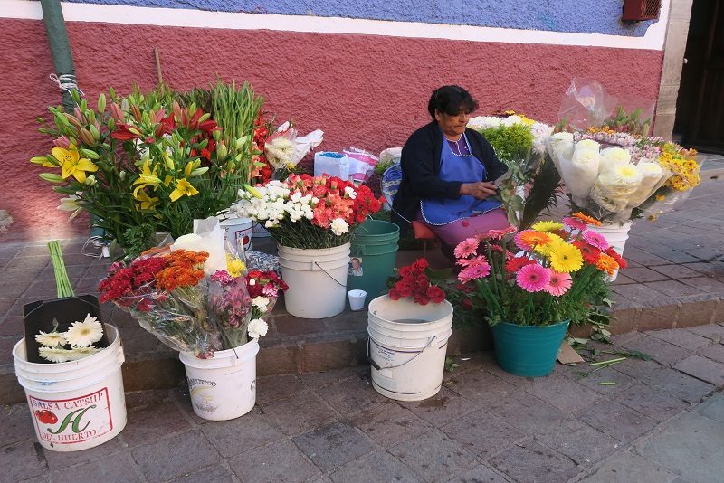 Blomster på torvet, Guanajuato, Mexico