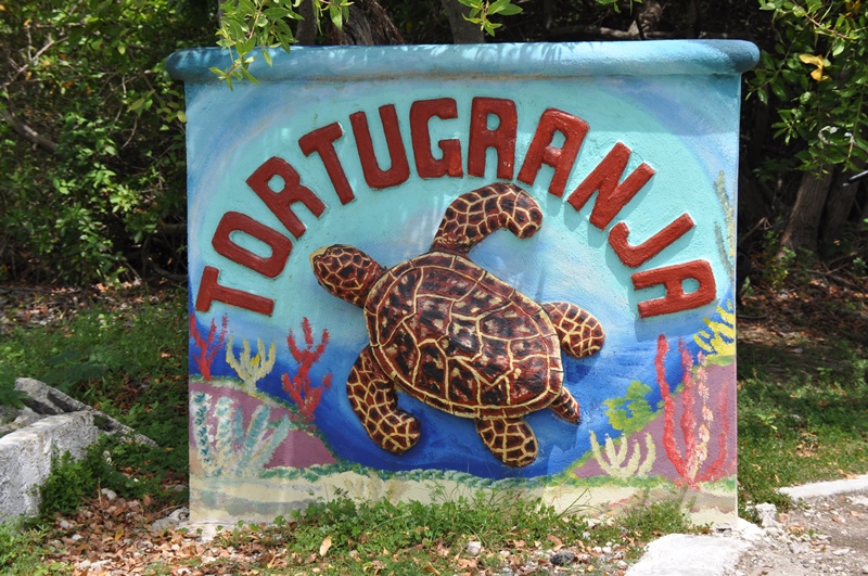 Skildpaddecenteret Tortugranja