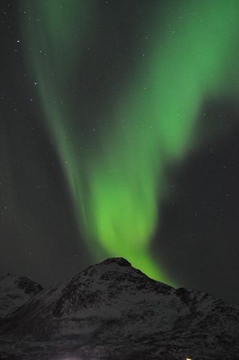 Nordlys i Tromsøe