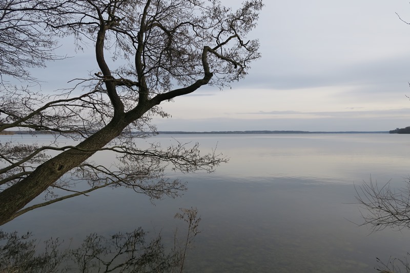 Arresø i det tidlige forår