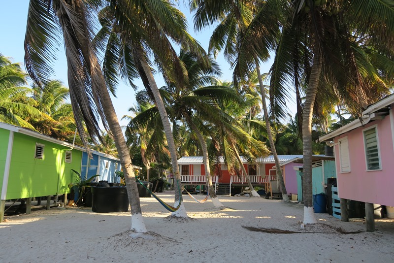 Farvede huse på Tobacco Caye i Belize