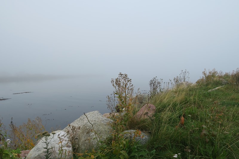 Tåge over Hjortø