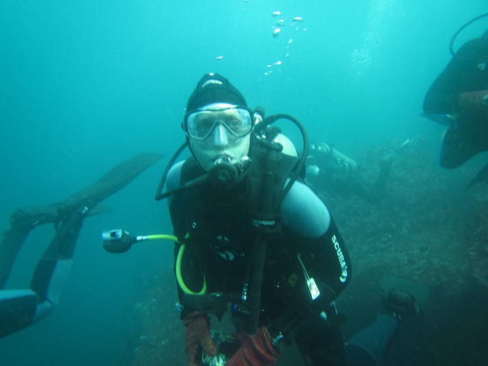 Dykning med hammerhajer, Galapagos