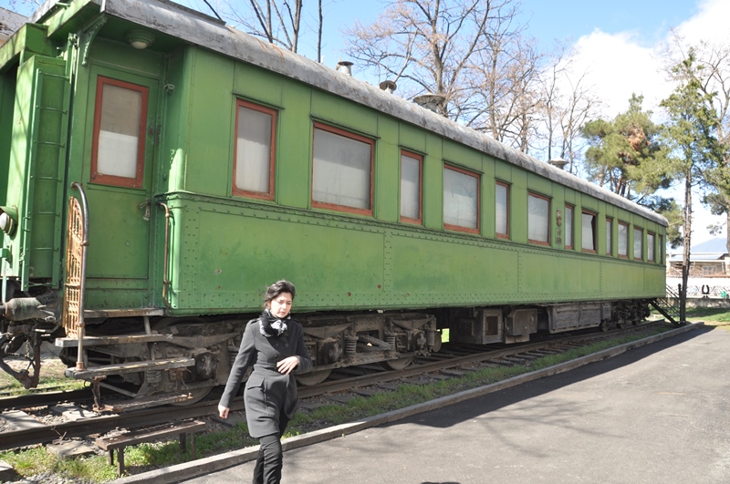 Stalins togvogn i Gori, Georgien