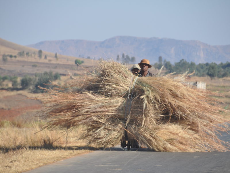 Der er læs på. Roadtrip i Madagaskar