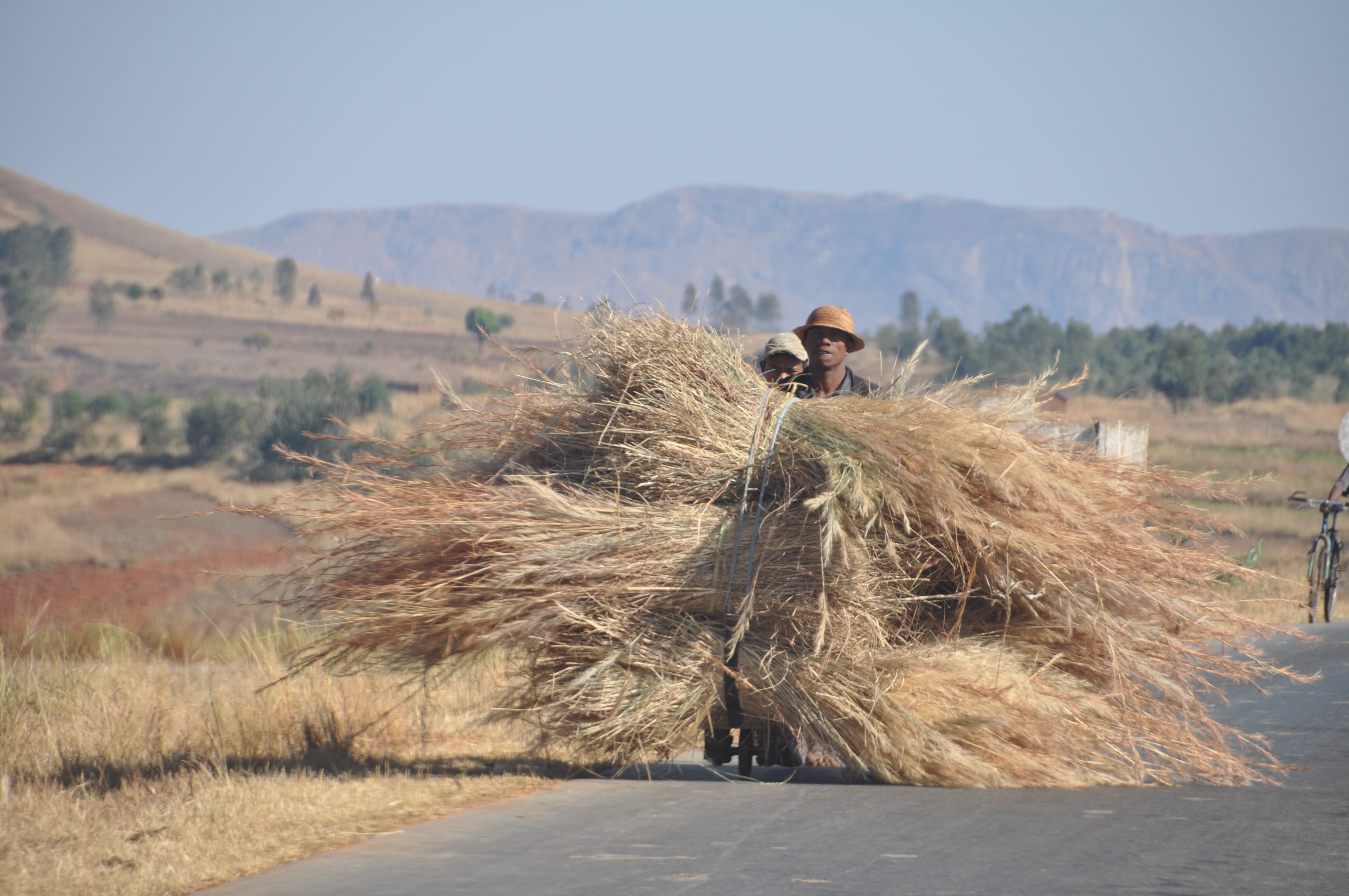 Madagaskar set igennem en bilrude