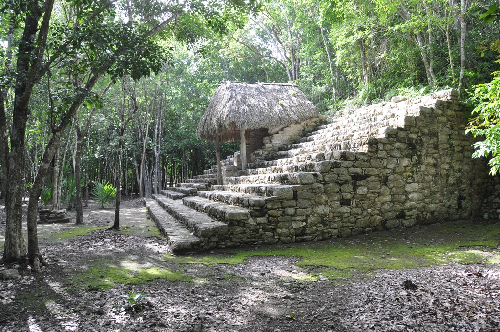 Cobá og endnu engang skildpadder i Akumal
