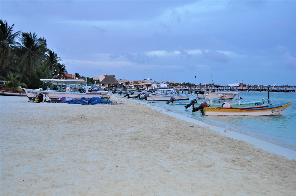 Hvalhajer – nu i Mexico