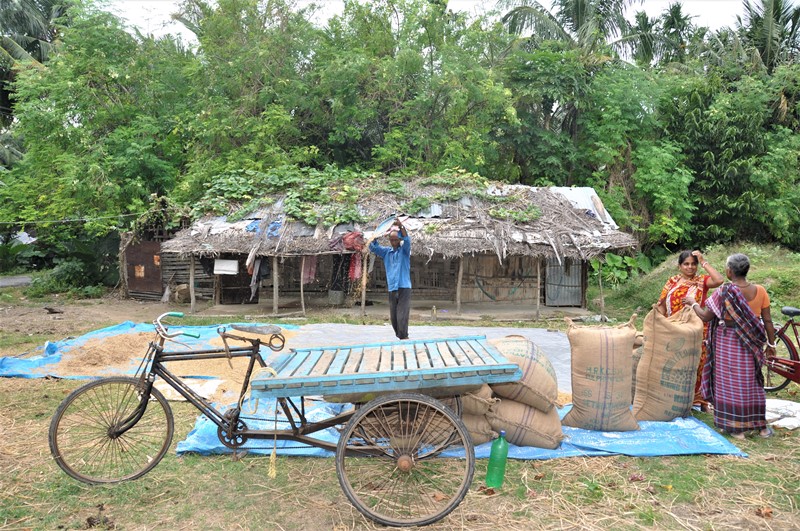Markarbejdere på Neil Island, Andamanerne