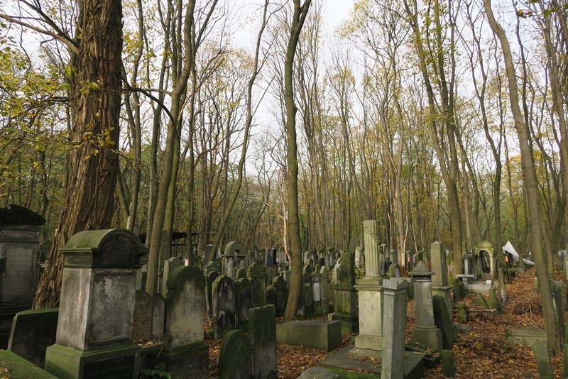 Den jødiske kirkegård i Warszawa