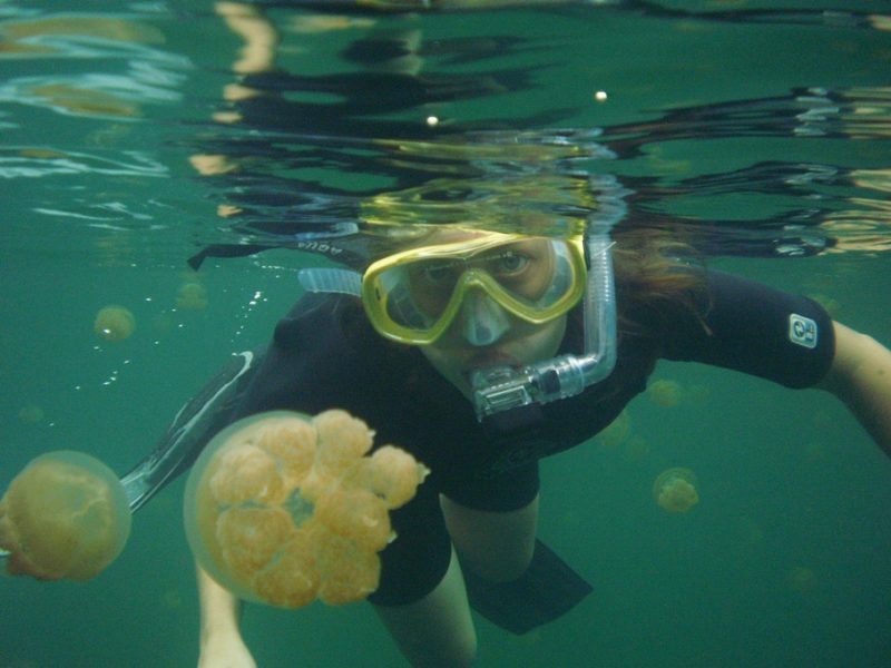 Snorkling ved Jellyfish Lake, Palau