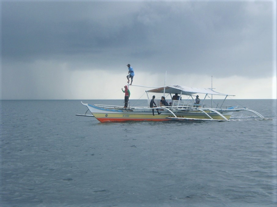 Hvalhajer ved Donsol