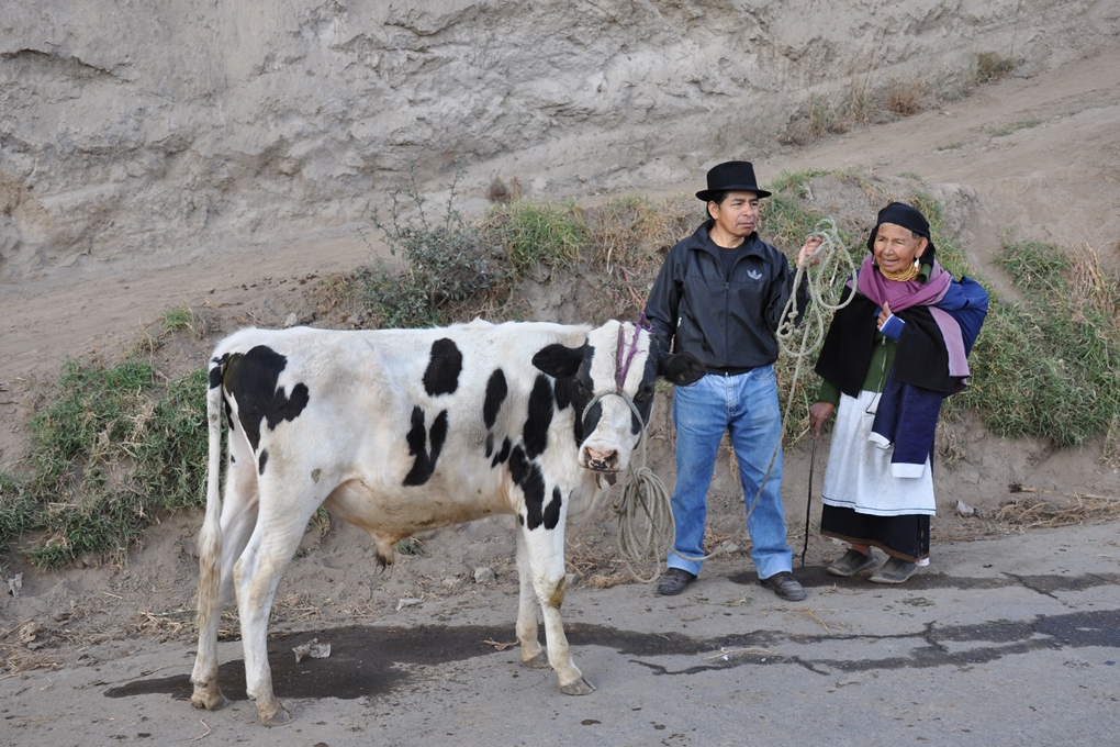 Til lørdagsmarked i Otavalo