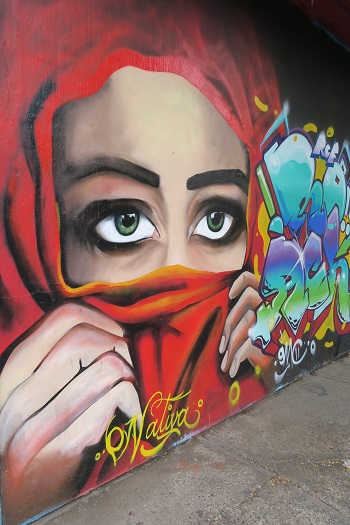 Fed street art, Guadalajara, Mexico