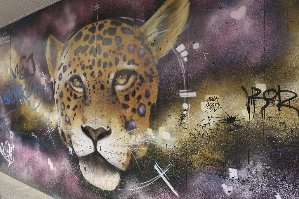 Street art i Guadalajara