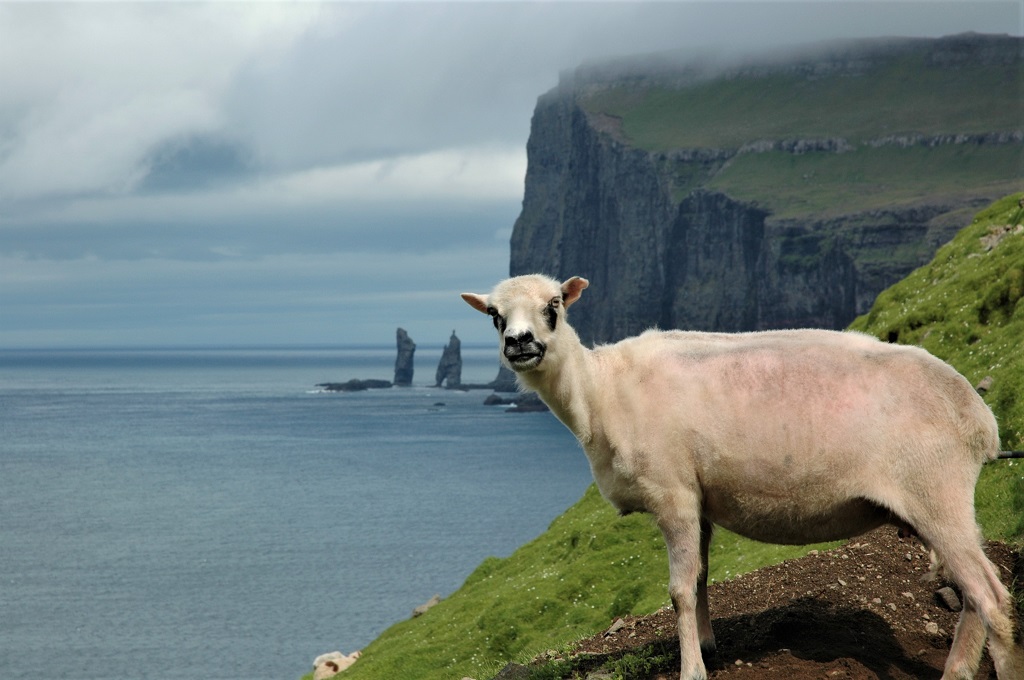 Fem flotte bygder, som du kan besøge fra Tórshavn