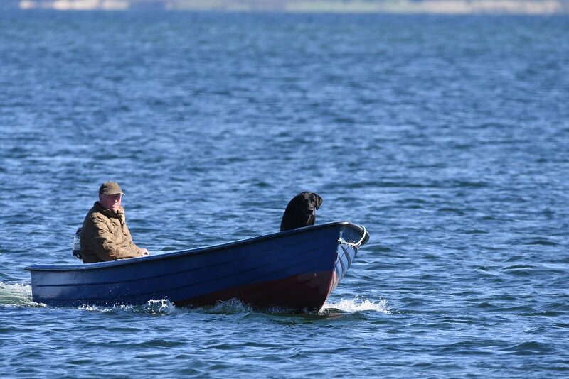 Fra havnen på Askø