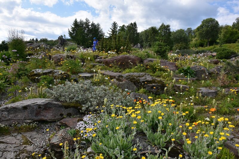 Verdens nordligste botaniske have