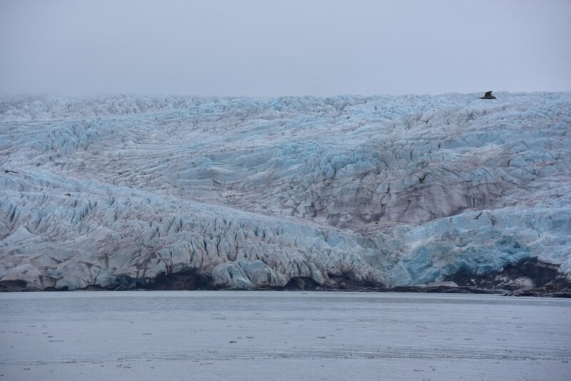 Nordenskjöld gletscher, Svalbard