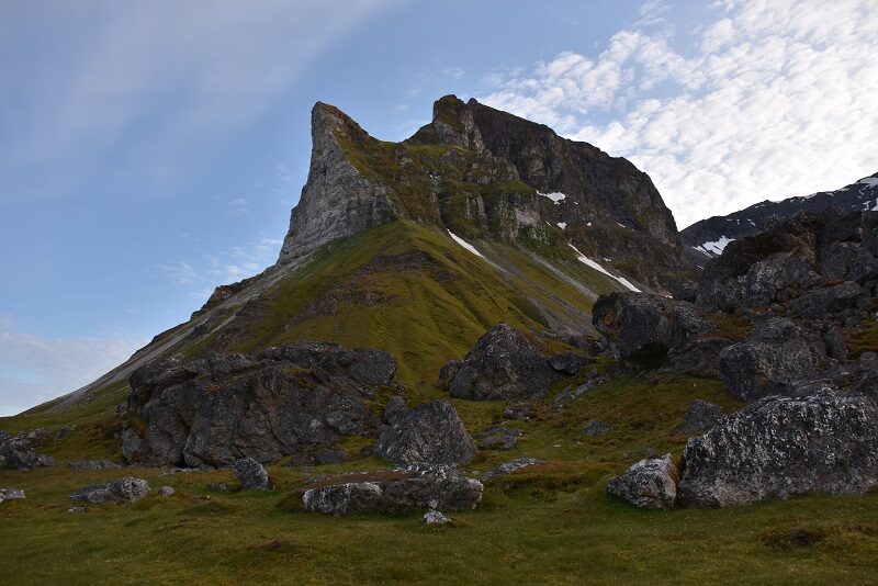 Alkhornet fuglefjeld, Svalbard