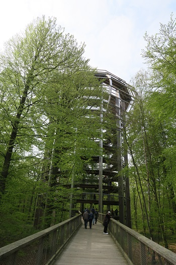 Skovtårn på Rügen, Tyskland