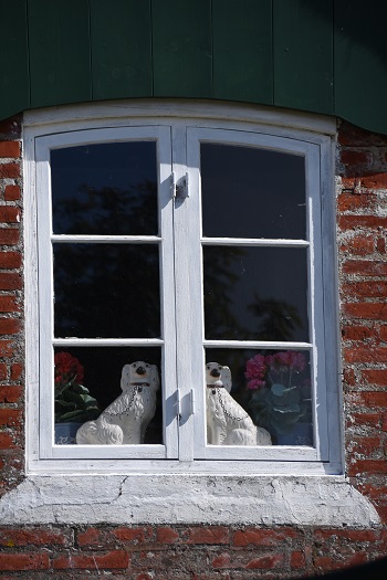 Hunde i vinduerne i Sønderho