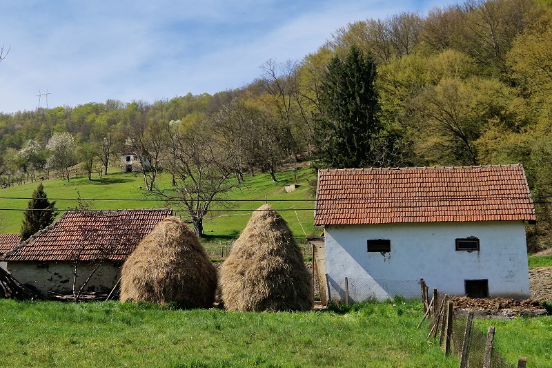 Høstakke, Bosnien