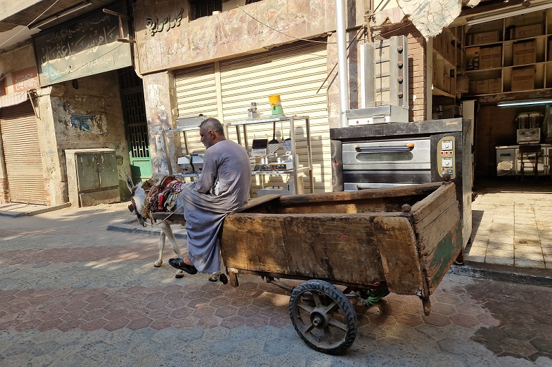 Æselkærre i Cairo