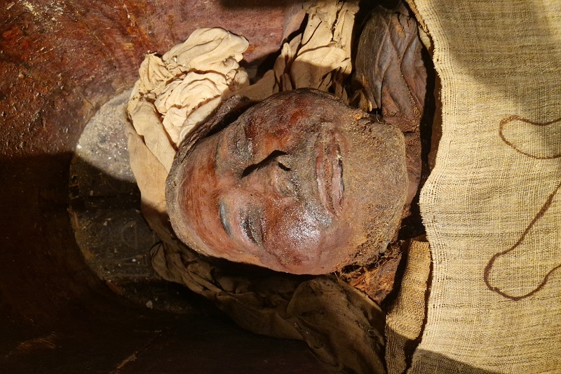 Mumie på museum. Luxor