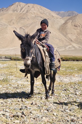 Pamir-dreng på æsel